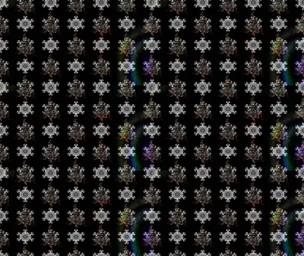 Siyah renkli çiçekler. Raster düz çiçek çizim deseni. Tasarım hediye paketi, tebrik kartları, posterler ve afiş tasarımı.