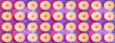 Eskiz Vintage Çiçek Deseni. Raster Kalça dokusu deseni.