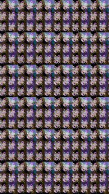 Kızılderili desenli desenli desenli şal deseni. Tekstil, tebrik kartı, boyama kitabı, telefon kılıfı baskısı için kullanılabilir. Etnik Mandala süsü. Raster Henna dövme stili.