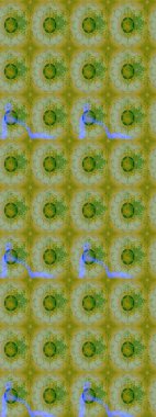 Kartlar, davetiyeler, tarih kartları ve daha fazlası için kullanılabilir. Raster şirin suluboya çiçek desenleri çiziyor. Büyük bir suluboya çiçek seti..