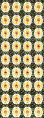 Moda baskıları için zarif bir şablon. Modern çiçek arkaplanı. Halk tarzı. Parlak renkli çiçekleri ve yeşil yaprakları olan harika bir çiçek deseni..