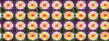 Elle boyanmış suluboya resim çizimleri, çiçekler ve bitkiler. Tarafsız renklerde çiçekler.