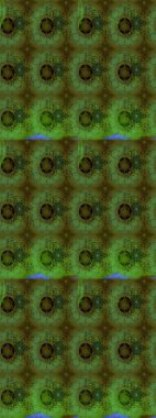 Raster illüstrasyonu. Yeşil renkli Asya tekstili. Suluboya çiçekli çiçek deseni.