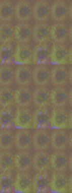 Düz Çiçek Elementleri Tasarımı. Kahverengi renkli çiçekler. Renkli Bahar Teması eskiz kalıbı. Çiçekle çizim deseni.