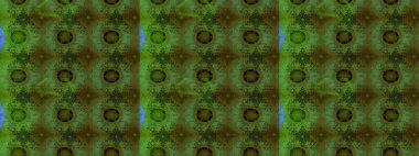 Düz Çiçek Elementleri Tasarımı. Raster illüstrasyonundaki çiçek desenli çizim. Renkli Bahar Teması eskiz kalıbı. Renkli çiçekler.