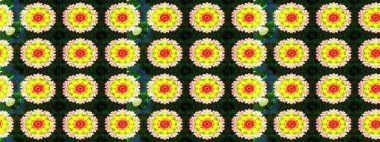 Renkli desenli eskiz deseni, sarı çiçekler ve dekoratif elementlerle. Eskiz geçmişi. Raster illüstrasyonu. Kumaş, tekstil, duvar kağıdı baskısı için. Antika retro tarzı.