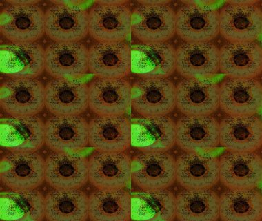 Üzerinde gelincikler ve vadi zambakları olan renkli çiçek desenli nakış deseni. Tekstil tasarımı için kahverengi renkli geleneksel halk çiçekleri buketi.