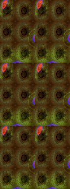 Şirin çiçek elementleri. Renkli çiçekler. Raster illüstrasyonu. Çizim.