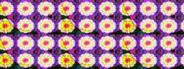 Elle çizilmiş sonbahar çiçeği deseni. Renkli menekşe çizim deseni. Doodle tarzı. Tekstil ve kapak tasarımı için mükemmel. Mor renkte çiçekler.