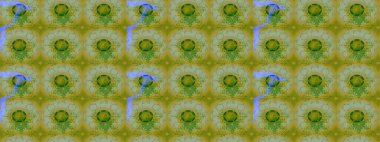 Eskiz geçmişi. Kumaş, tekstil, duvar kağıdı baskısı için. Tomurcukları papatya çiçekleri olan sevimli bir çiçek deseni. Miles Fleur, süslü püslü bir süs. Eski usul. Raster illüstrasyonu.