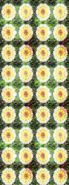 Kartlar, davetiyeler, tarih kartları ve daha fazlası için kullanılabilir. Büyük bir çiçek boyası seti. Raster şirin suluboya çiçek deseni çizimi.