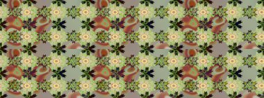 Suluboya çizim kalıbı. Dekorasyon ve tasarım için güzel bir desen. Moda baskısı. Çiçeğin suluboya çizimlerinin mükemmel deseni. Eski.