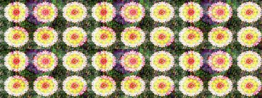 Yeşil renkler. Yaz çiçekleri teması. Klasik çiçekler. Suluboya resim taklit Raster çizimi. El çizimi soyut süslü elementler.