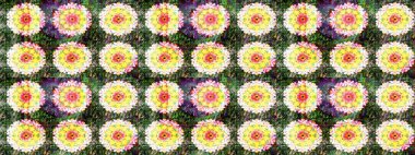 Yeşil renkler. Yaz çiçekleri teması. Klasik çiçekler. Suluboya resim taklit Raster çizimi. El çizimi soyut süslü elementler.