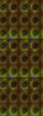 Çiçeksel elementlerle süslenmiş zarif raster dokusu. Küçük çiçekte hoş bir çiçek deseni var. Parlak çiçekli kahverengi renkler üzerine soyut çizim deseni.