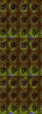 Çiçeksel elementlerle süslenmiş zarif raster dokusu. Küçük çiçekte hoş bir çiçek deseni var. Parlak çiçekli kahverengi renkler üzerine soyut çizim deseni.