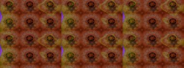 Raster illüstrasyonu. Kahverengi renkli çiçekler. Şirin çiçek elementleri. Çizim.