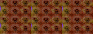 Raster illüstrasyonu. Kahverengi renkli çiçekler. Şirin çiçek elementleri. Çizim.