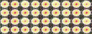 Eskiz Vintage Çiçek Deseni. Raster Kalça dokusu deseni.