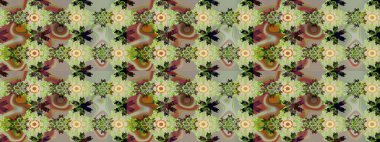 Çiçeğin suluboya çizimlerinin mükemmel deseni. Eski model. Suluboya çizim kalıbı. Dekorasyon ve tasarım için güzel bir desen. Moda yazdırma.