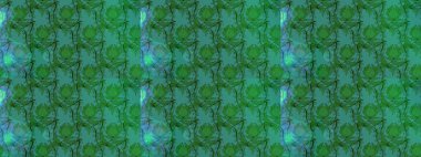 Raster şirin suluboya çiçek desenleri çiziyor. Büyük bir çiçek boyası seti. Kartlar, davetiyeler, tarih kartları ve daha fazlası için kullanılabilir.