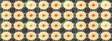 Tomurcukları papatya çiçekleri olan sevimli bir çiçek deseni. Eskiz geçmişi. Raster illüstrasyonu. Kumaş, tekstil, duvar kağıdı baskısı için. Eski usul. Miles Fleur, dandik süs.