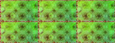 Çiçek kompozisyonu. Küçük çiçekte güzel bir desen var. Çiçek arkaplan. Doğa. - yeşil ve kahverengi çiçekler. Çiçek kolajı. Raster deseni.