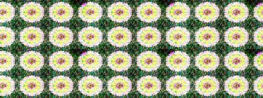 Çiçekli eskiz deseni. Suluboya çizimi. El çizimi. Yeşil renkte çiçekler.