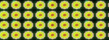 Küçük renkli çiçekler. Küçük çiçekte güzel bir desen. Moda baskıları için zarif bir şablon. Sarı çiçekli bahar çiçekleri. Motley illüstrasyonu.