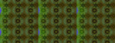 Çizim kalıbı. Renkli süs kenarı. Yeşil renklerde. Çiçek duvar kağıdı. Raster illüstrasyonu. Hint süsü..