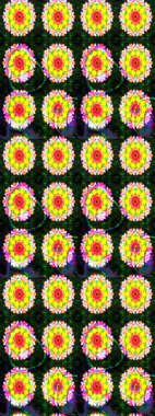 Çiçekli çiçek deseni, suluboya. Süslü kumaş deseni. Raster deseni.