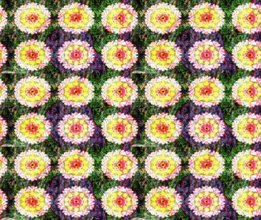 Renkli Bahar Teması eskiz kalıbı. Raster güzel kumaş deseni çiziyor. Çiçek deseni. Düz Çiçek Elementleri Tasarımı.