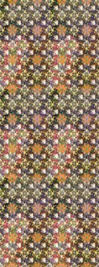 Kahverengi renkli çiçekler. Güzel çiçek deseni. Düz Çiçek Elementleri Tasarımı. Renkli Bahar Teması çizim şablonu.