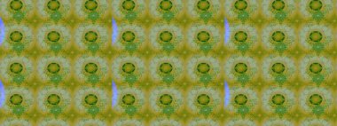 Güzel kumaş deseni. Renkli Yaz Temalı eskiz kalıbı. Düz Çiçek Elementleri Tasarımı. Raster illüstrasyonunda çiçek deseni çizimi.