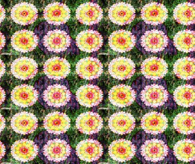 Renkli Bahar Teması eskiz kalıbı. Raster güzel kumaş deseni çiziyor. Çiçek deseni. Düz Çiçek Elementleri Tasarımı.