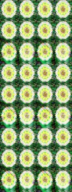 Güzel kumaş deseni. Hoş bir çiçek geçmişi var. Küçük bir çiçekte eskiz deseni. Raster illüstrasyonu.