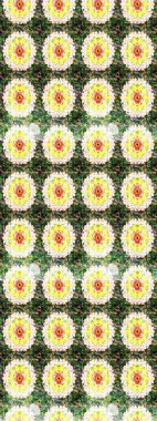 Raster illüstrasyonundaki çiçek desenli çizim. Renkli Bahar Teması eskiz kalıbı. Yeşil renkli çiçekler. Düz Çiçek Elementleri Tasarımı.