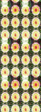 Raster illüstrasyonu. Düz Çiçek Elementleri Tasarımı. Renkli Bahar Teması eskiz kalıbı. Chichi 'nin kumaş kalıbını çiz. Çiçek deseni.