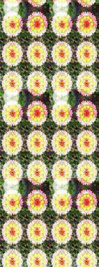 Raster illüstrasyonu. Düz Çiçek Elementleri Tasarımı. Renkli Bahar Teması eskiz kalıbı. Chichi 'nin kumaş kalıbını çiz. Çiçek deseni.