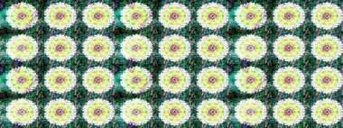 Gömlek, arka plan modelini çiz. Tropik çiçekler. Yeşil renkte çiçekler.