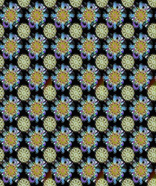 Çiçeksiz desenli nakış işlemeli gelincikler ve vadideki zambaklar. Tekstil tasarımı için siyah ve nötr renklerde geleneksel halk çiçekleri buketi.