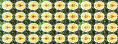 Nazikçe, güzel çiçek arkaplanı. Çiçekli karalama şeklinde Raster çiçek deseni. Yeşil ve sarı renkte çiçekler.