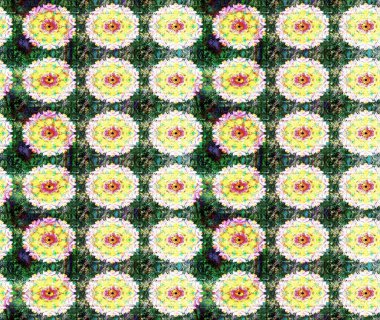 Çizim çiçek deseni duvar kâğıdı olarak kullanılabilir. Raster illüstrasyonu. Yeşil renkte çiçekler.