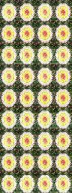 Düz Çiçek Elementleri Tasarımı. Renkli Yaz Temalı eskiz kalıbı. Çiçekli eskiz çizimi. Yeşil renkte çiçekler.