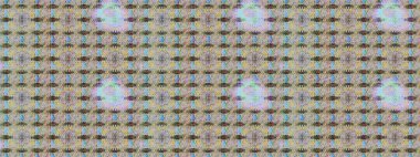 Asya tekstil tarzında. Raster illüstrasyonu. Raster illüstrasyonu. Çiçek desenli çizim. Tarafsız renklerde çiçekler.