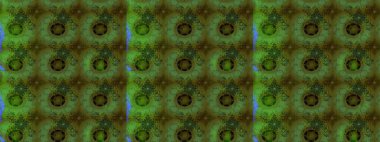 Yeşil el çizimi desen. Raster deseni. Sanat, çiçeklere ilham verir ve arka plan bırakır. Karalama çiçekleri çizim deseni.