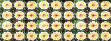 Eskiz arkaplan modeli. Raster - stok. Suluboya, elle çizilmiş. Vadinin yeşil renkli çiçekleri.