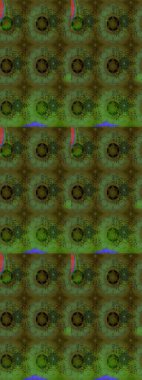 Vadinin renkleri. Çiçekler. Soyut etnik raster çizim kalıbı.