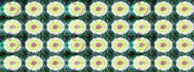 Gömlek, arka plan modelini çiz. Tropik çiçekler. Yeşil renkte çiçekler.