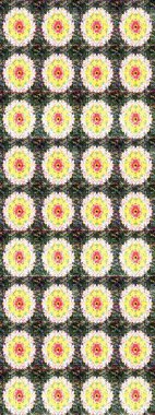 Raster çiçek desenli çiçek deseni, yapraklar, dekoratif elementler, sıçrama, lekeler, el çizimi kontur çizgileri ve Doodle çizim stili, grafik raster çizim çizimi.